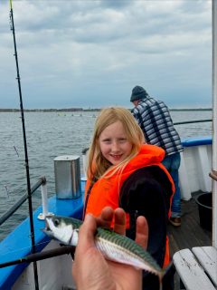 🎣 Även idag bjöd Öresund på fint väder och härlig stämning ombord ☀️🌊

Fisket var dock lite mer svårflörtat jämfört med gårdagen, men vi ger aldrig upp 👊

Vi hittade många fina stim under dagen som tyvärr inte riktigt ville nappa som vi hoppats. Men efter att ha kämpat vidare och testat runt lyckades vi till sist hitta rätt och landa ett fint gäng siller som även bjöd på några makriller, tobis, knot och simpor 🎣🔥

Det är just det som gör fisket så spännande! Man vet aldrig riktigt när det lossnar, men när det väl gör det är det värt allt letande 😄

Tack till alla som var med idag och gjorde ännu en härlig dag på sundet möjlig 🚤