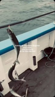 En fisketur handlar om så mycket mer än bara fisken.
Den handlar om tiden tillsammans, skratten ombord och minnen som lever kvar långt efter att båten lagt till. 💙🎣
Rååbåtarna – vi kan vårt Öresund