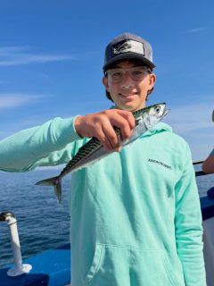 🎣 Ännu en härlig dag på Öresund!
Idag bjöd fisket på en riktigt trevlig blandning av arter. Makrillen fortsätter dock i lite mindre regi just idag, men vi fick även fin gråsejar, vitlingar och några riktigt häftiga simpor som väckte stor nyfikenhet ombord🐟
Det är just det som gör havsfiske så roligt, man vet aldrig vad som hugger härnäst, och varje tur bjuder på nya upplevelser.
🎣 Vi kör fisketurer två gånger om dagen, hela sommaren!
⏰ 08:00–12:00
⏰ 13:00–17:00
📞 Boka din plats på 070-201 00 88 eller se turlistan på hemsidan.
🌊 Rååbåtarna – vi kan vårt Öresund