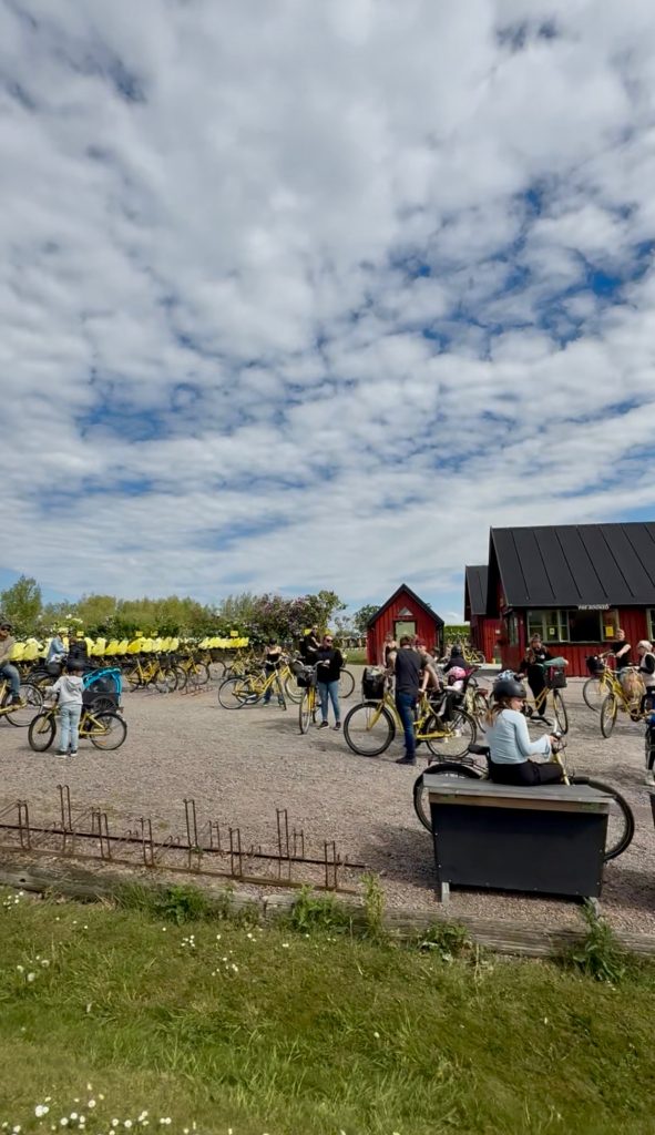 att göra på ven cykeluthyrning 