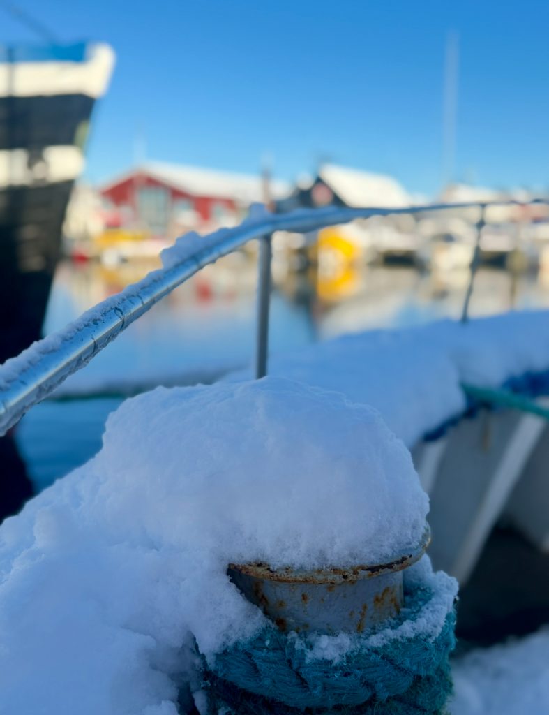 vinterfiske