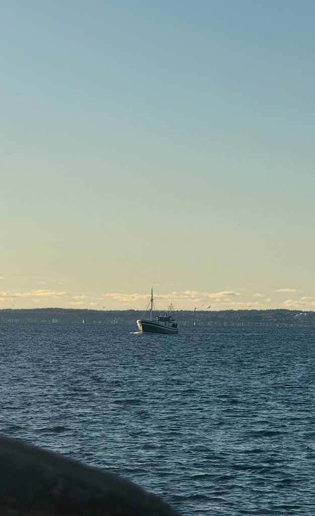 komplett fiskeguid för öresund