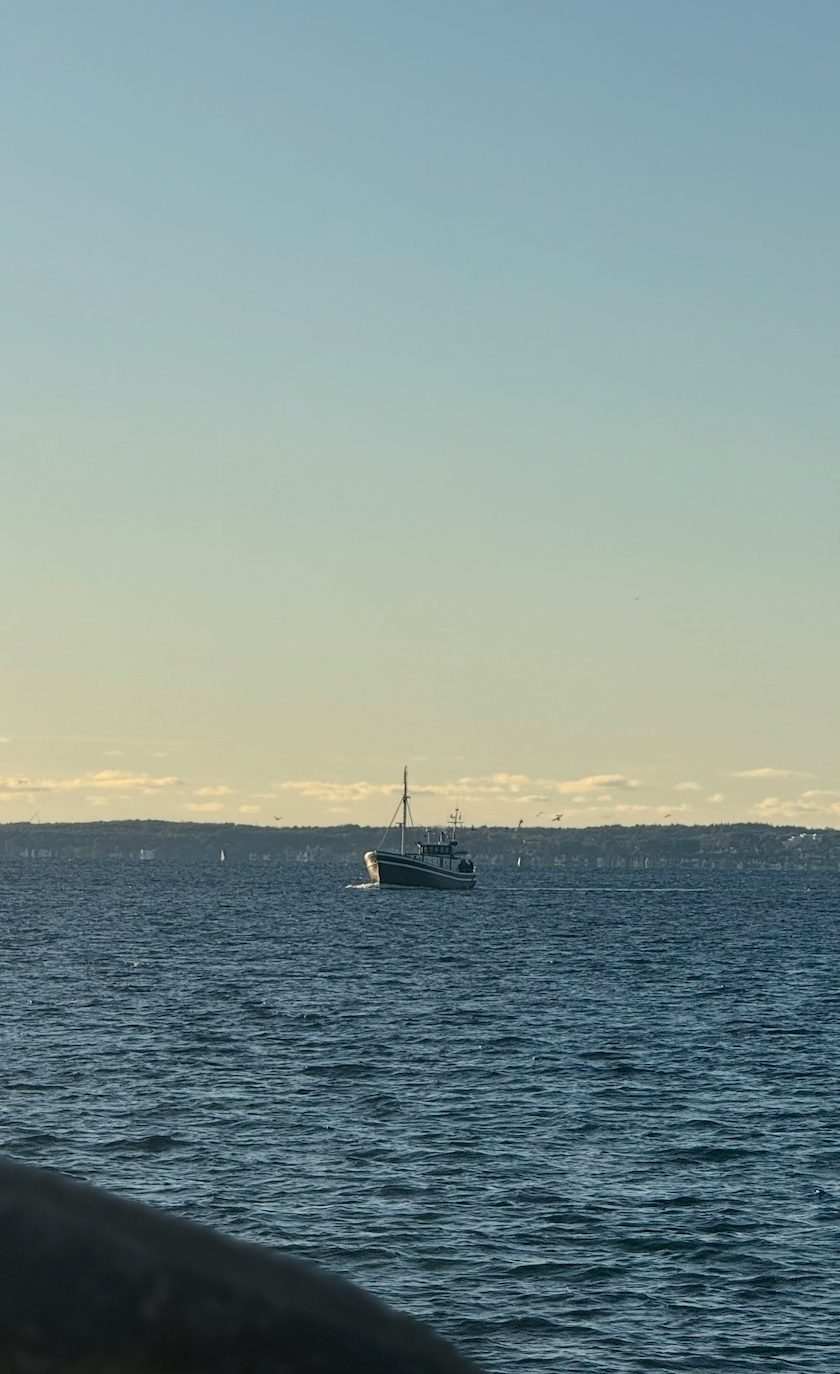 komplett fiskeguid för öresund