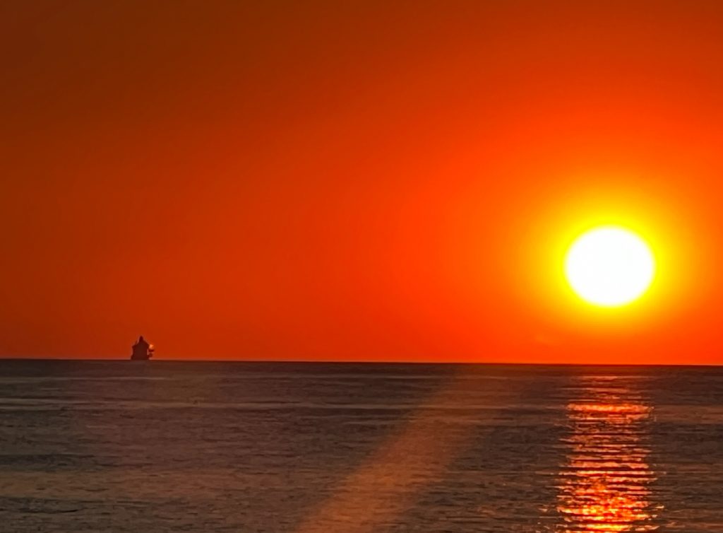 hyr eller chartra bår i helsingborg