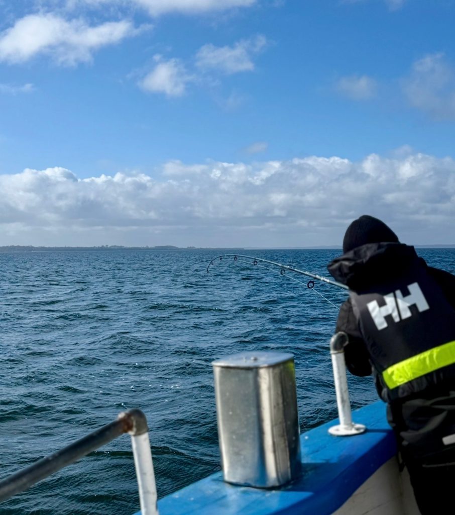 fiske guide öresund