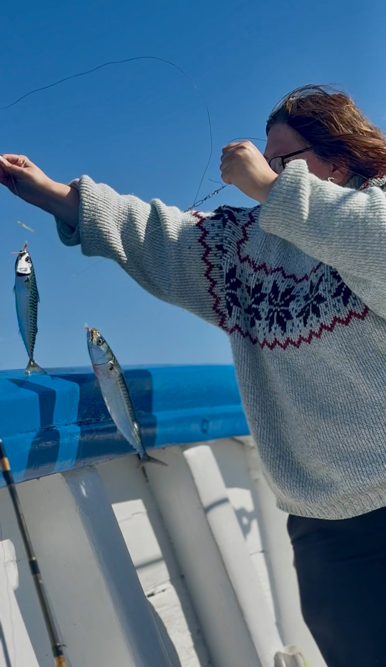 Makrill fiske Råå helsingborg Landskrona