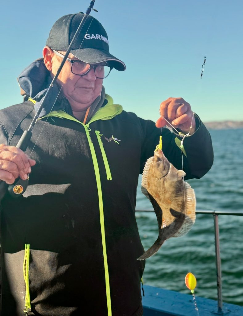 Mete efter plattfisk Landskrona