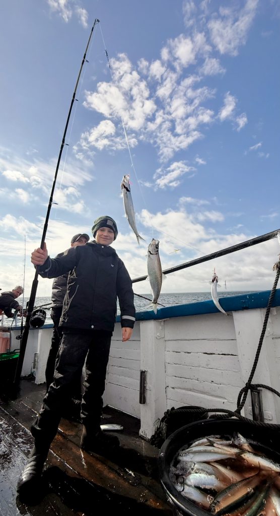 Sillfiske i Helsingborg och Landskrona med Rååbåtarna på Öresund